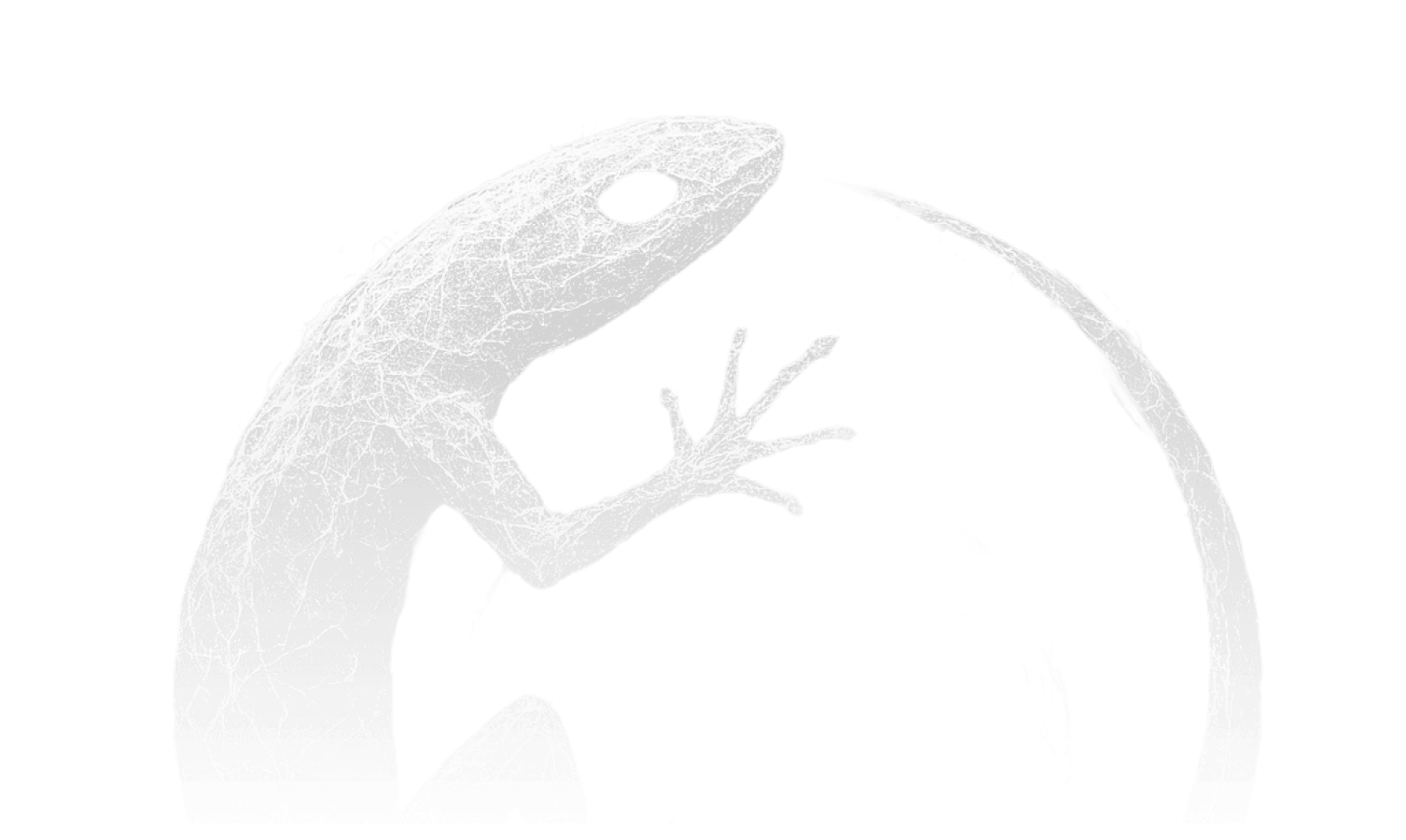 Lizard background